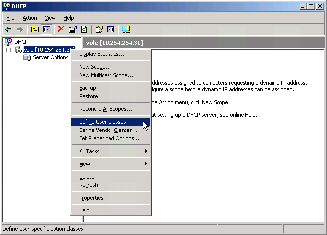 Defining a DHCP User Class in Windows